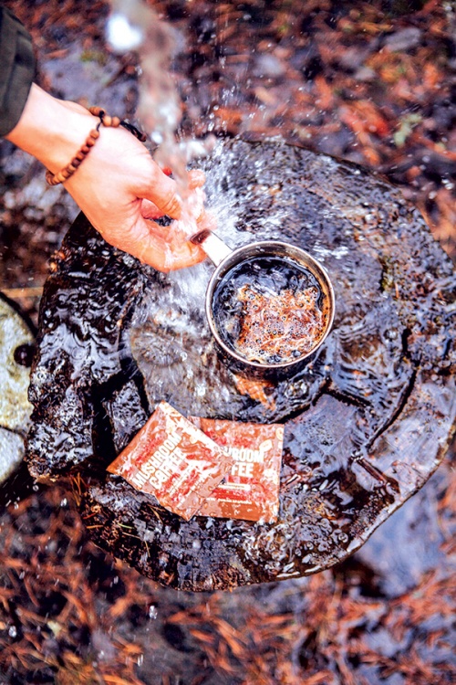 Coffee-mushroom mix
